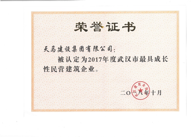 2017年度武漢市最具成長性民營企業(yè)（獎(jiǎng)狀）