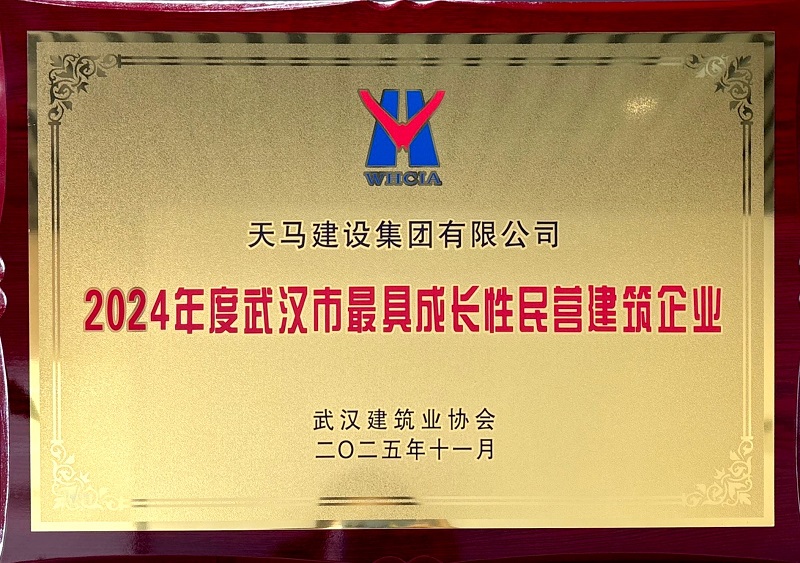 2024年武漢市最具成長性民營建筑企業(yè)